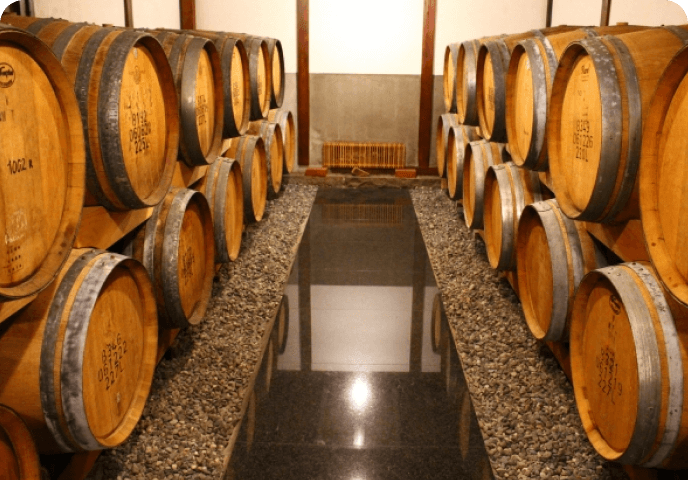 ワイナリー立ち上げ支援