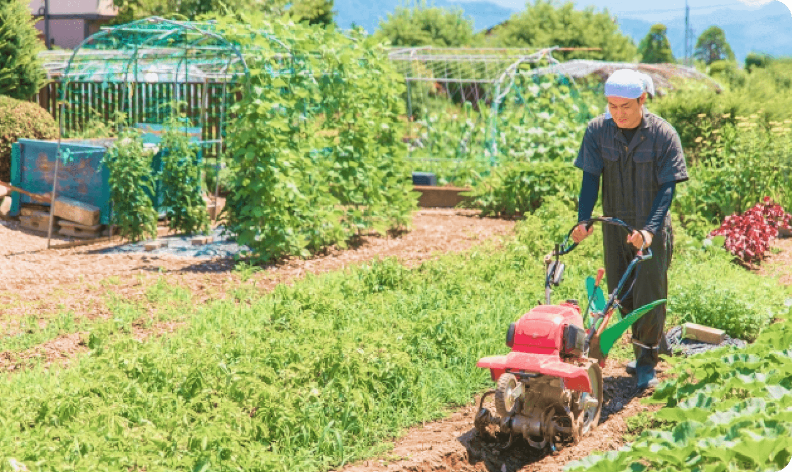 手間をかけずに農業を実現