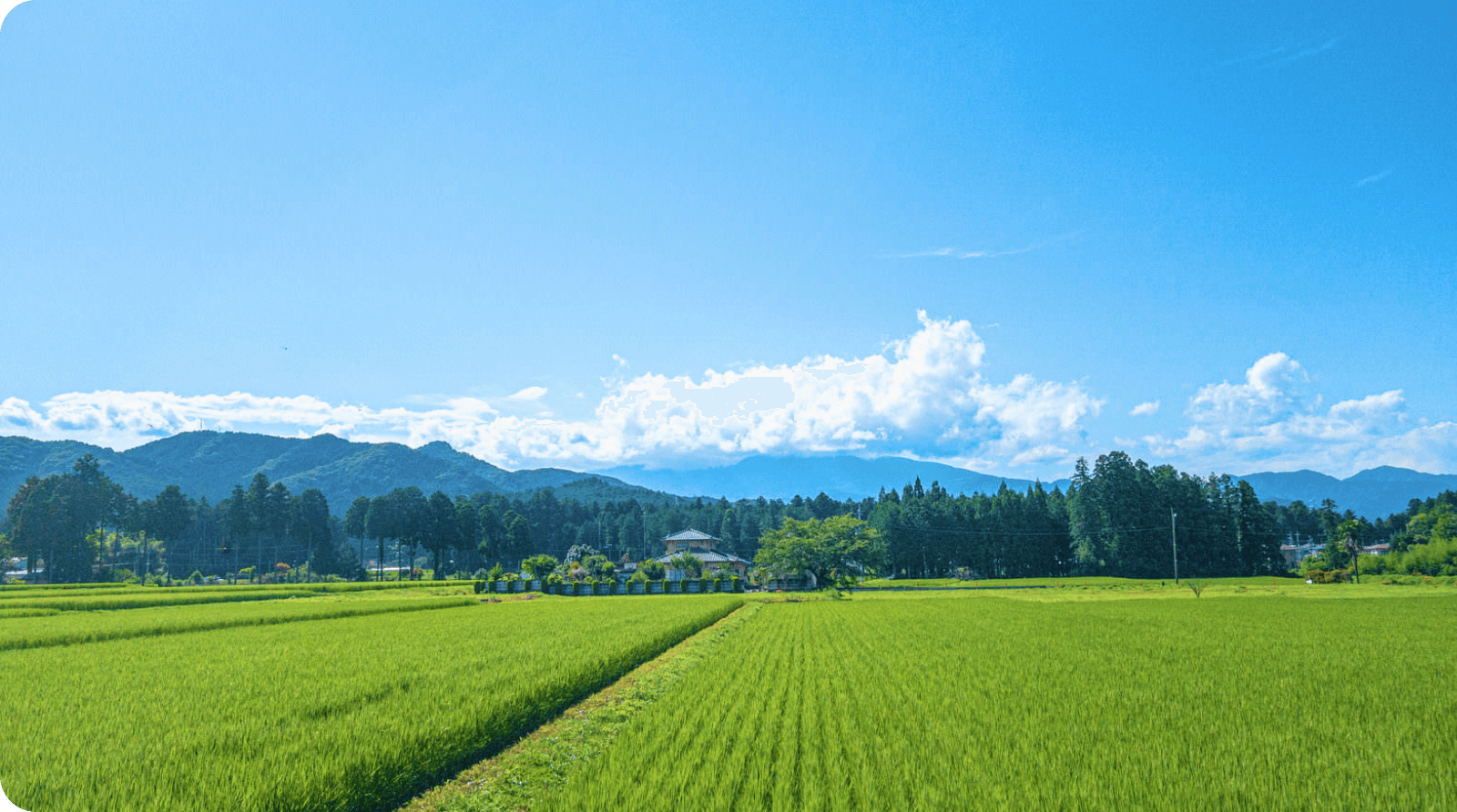 地域で廃棄するものを有効活用