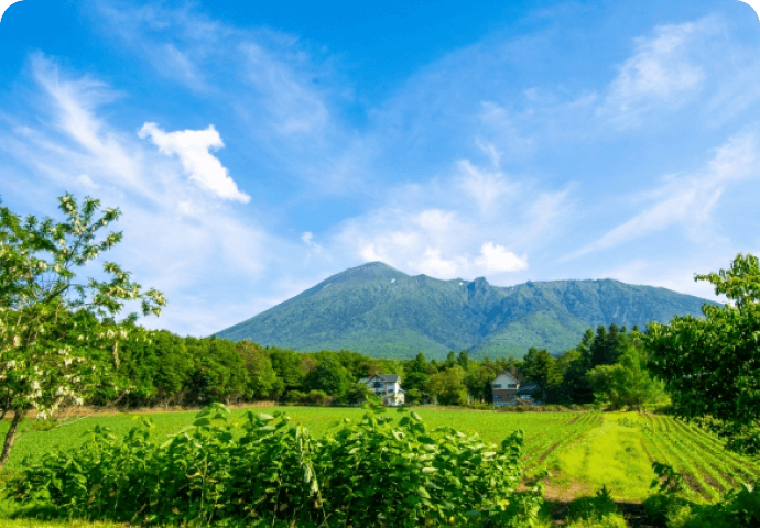 地域資源の有効利用