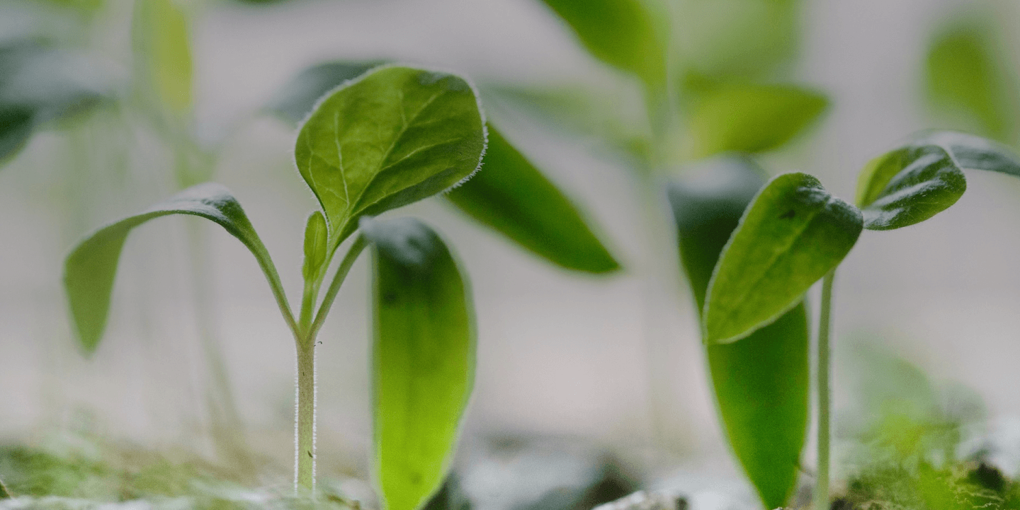 株式会社次世代一次産業実践所
