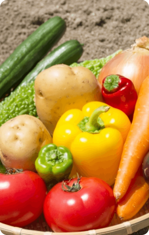 事業で活用した事例