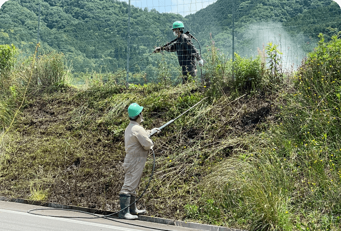 除草作業の省力効率化に向けた重曹資材による除草