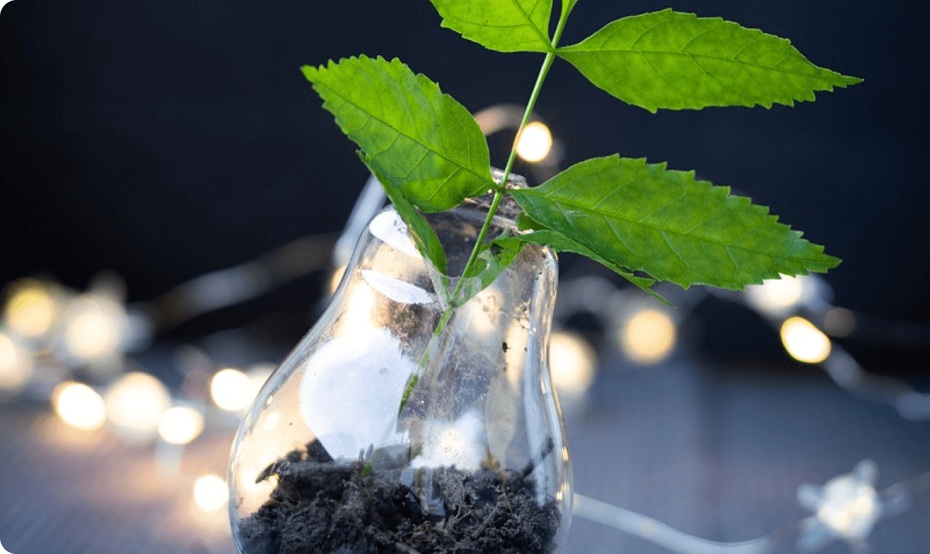 農業支援・コンサルティング