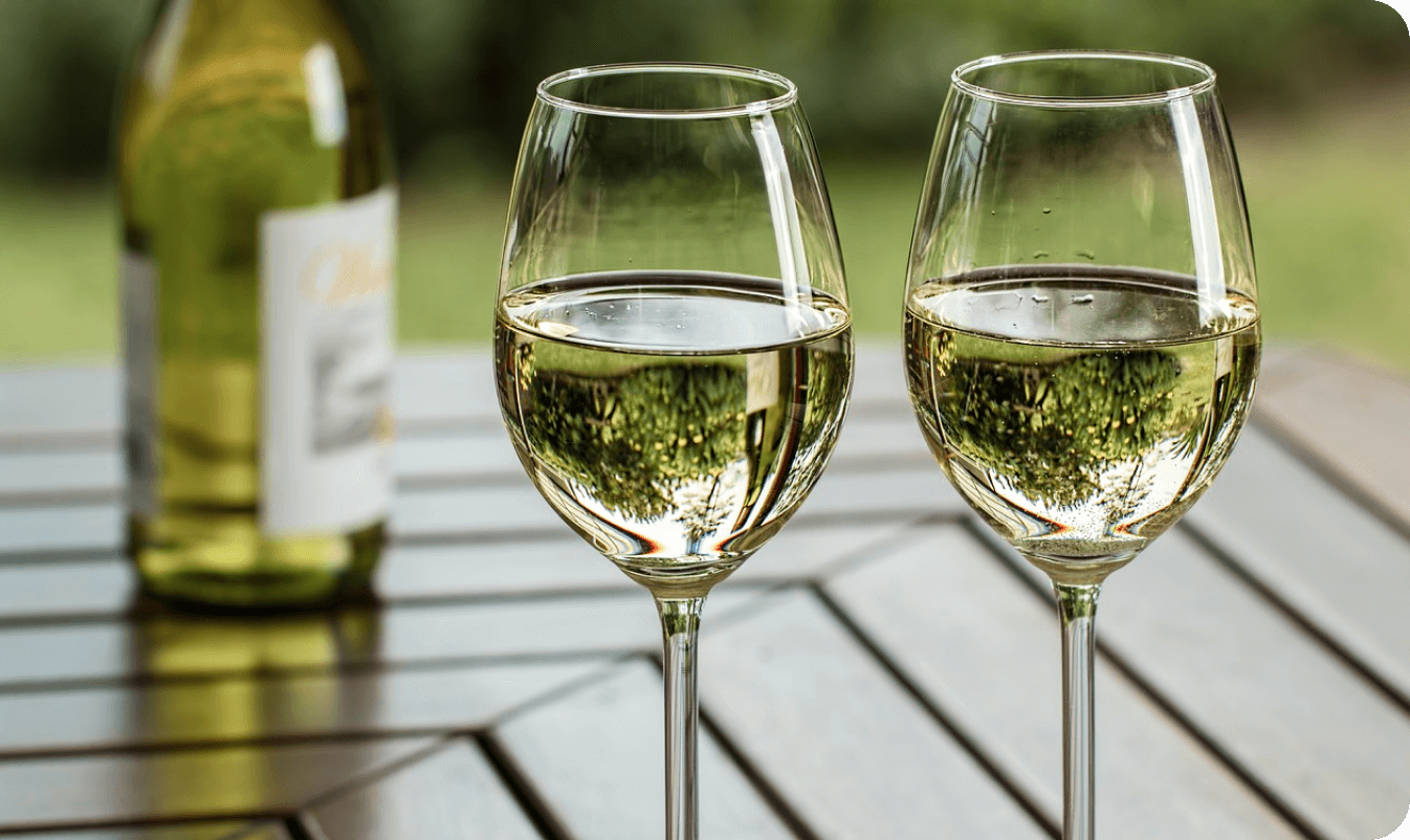 ワイナリー立ち上げ支援