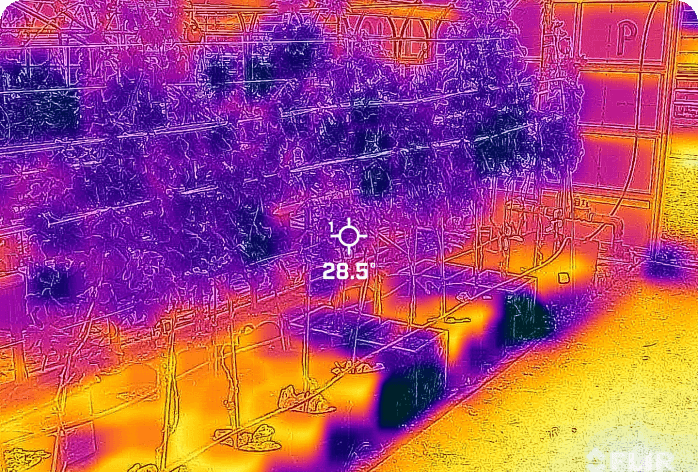 夏季の猛暑の影響低減に向けた栽培ポットの地温を下げるための実証と評価