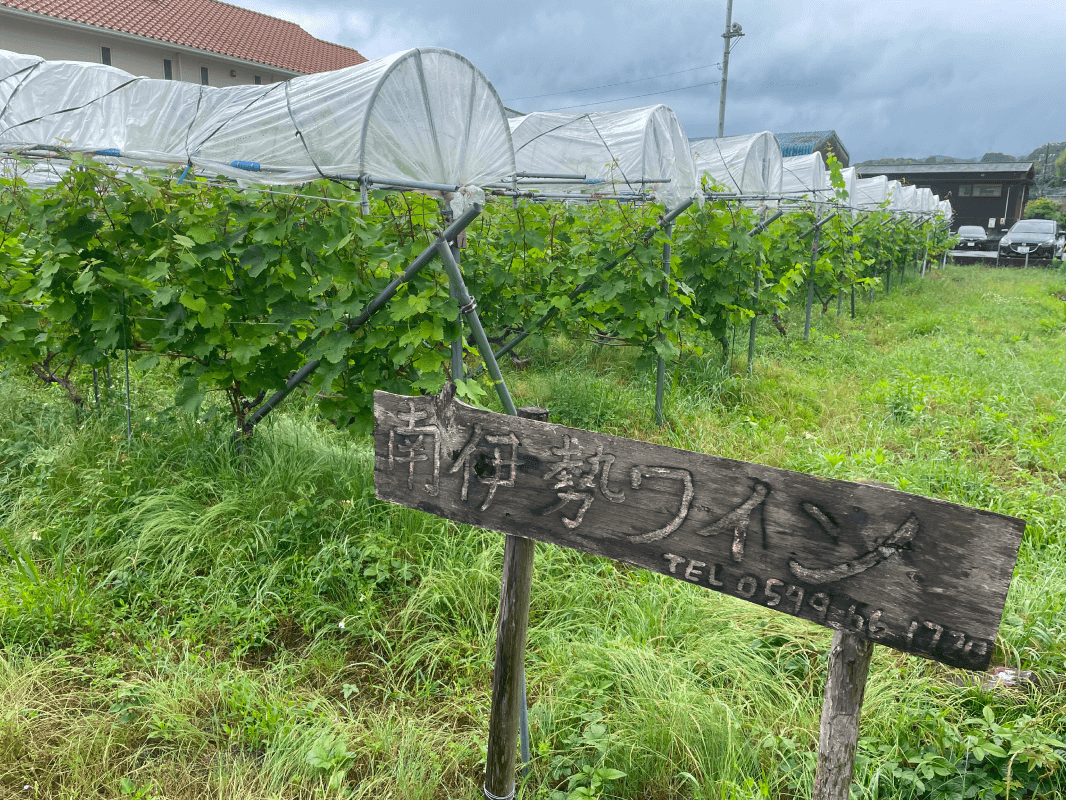 農業サポート事例