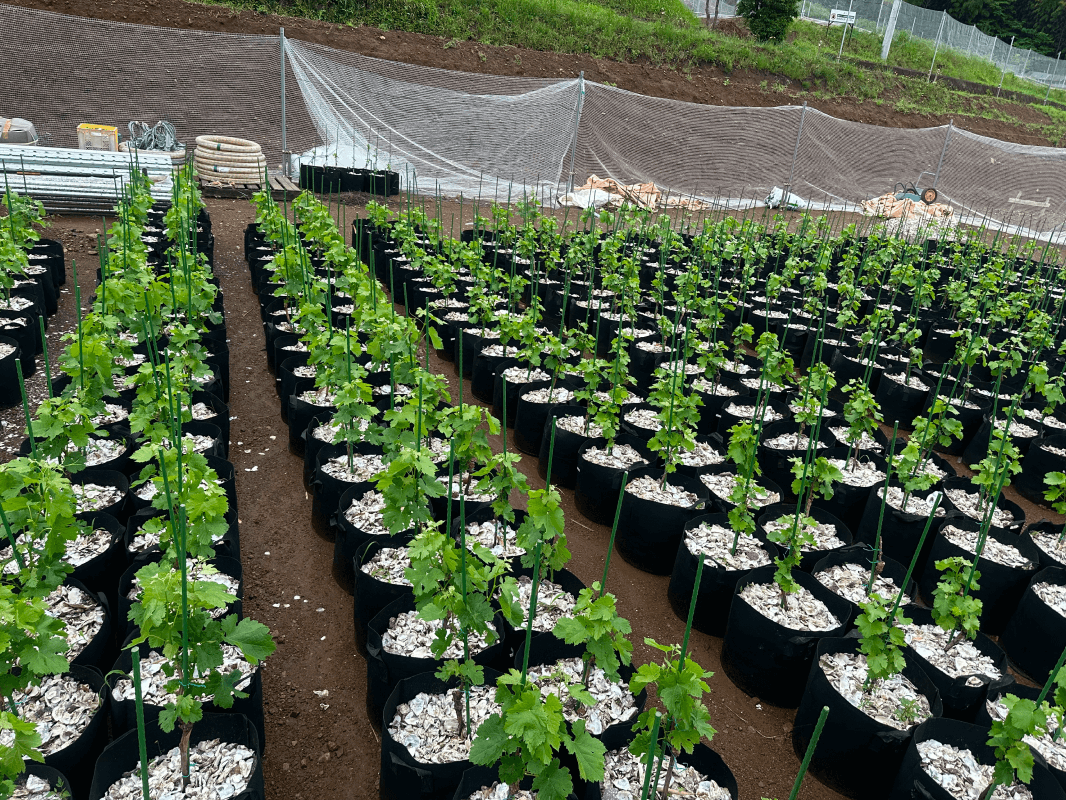 農業サポート事例