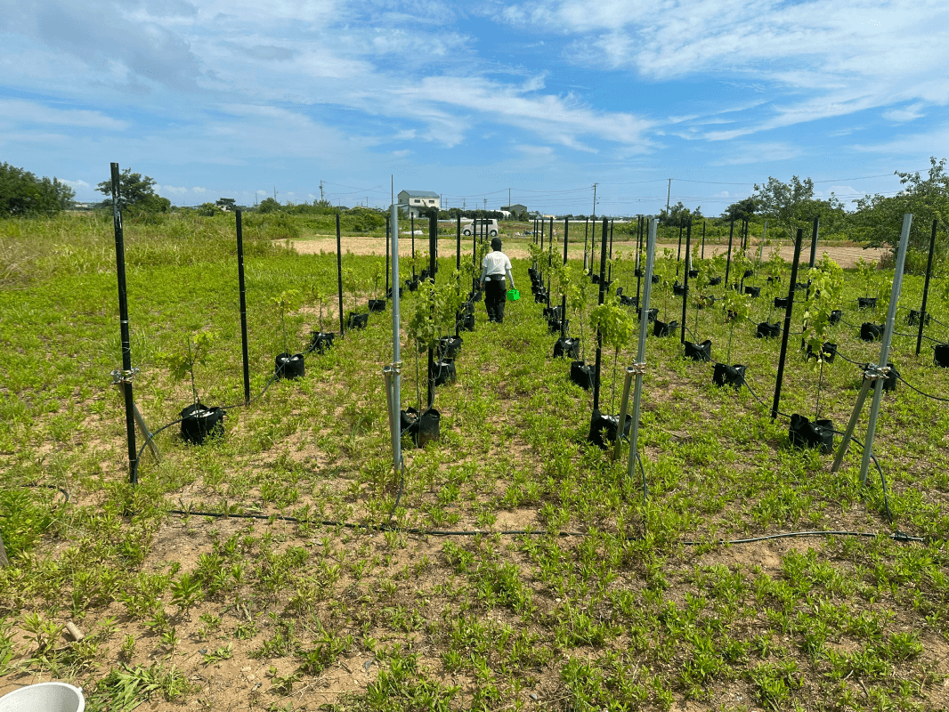 農業サポート事例