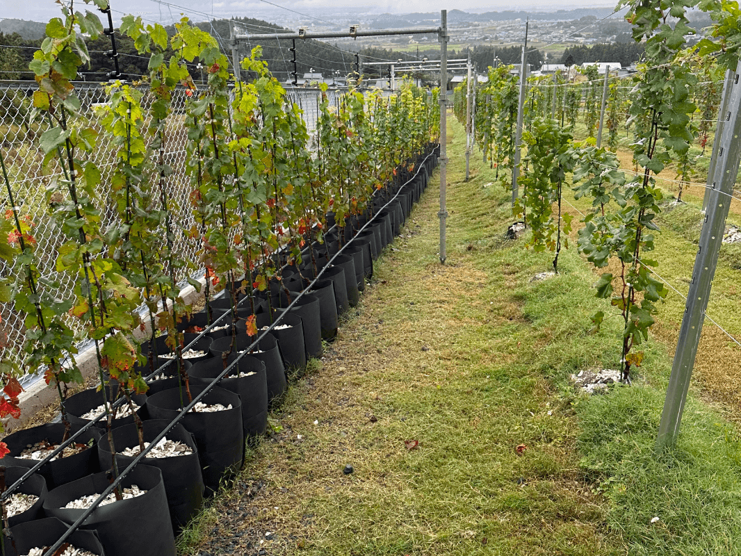 農業サポート事例