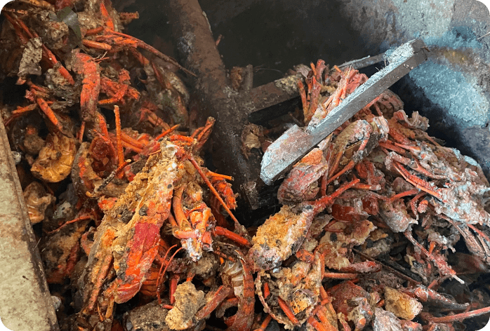 地域資源の活用事例